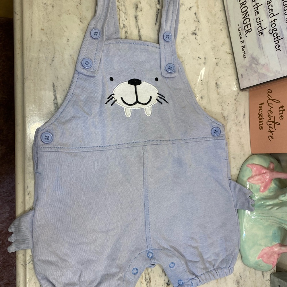 Adorable Light Blue Animal Romper